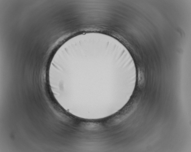 X0000113100348200910091144