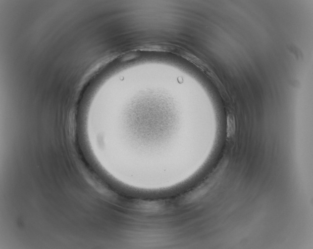 X0000113100349200910091144