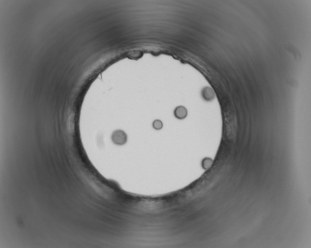X0000113100350200910091144