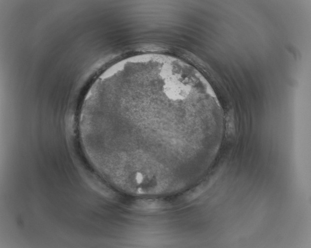 X0000113100351200910091144