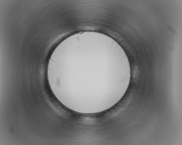 X0000113100352200910091144