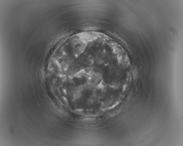 X0000113100353200910091144