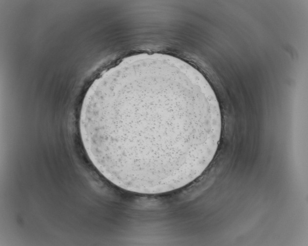 X0000113100354200910091144