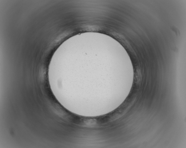X0000113100355200910091144