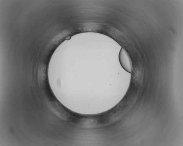 X0000113100356200910091144