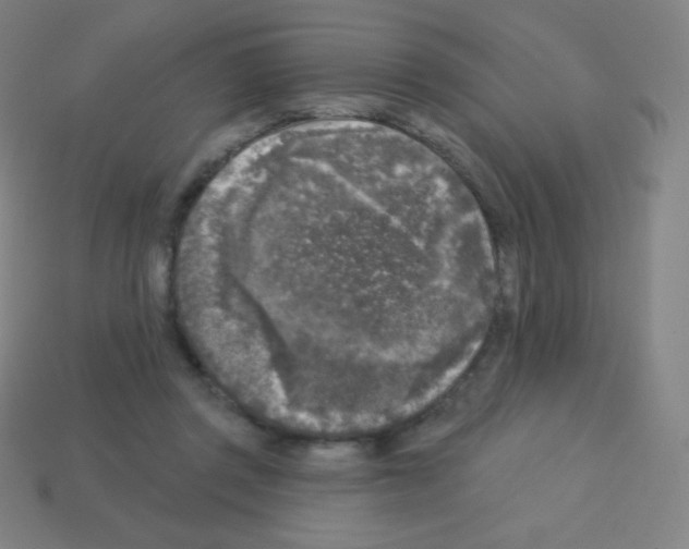 X0000113100357200910091144