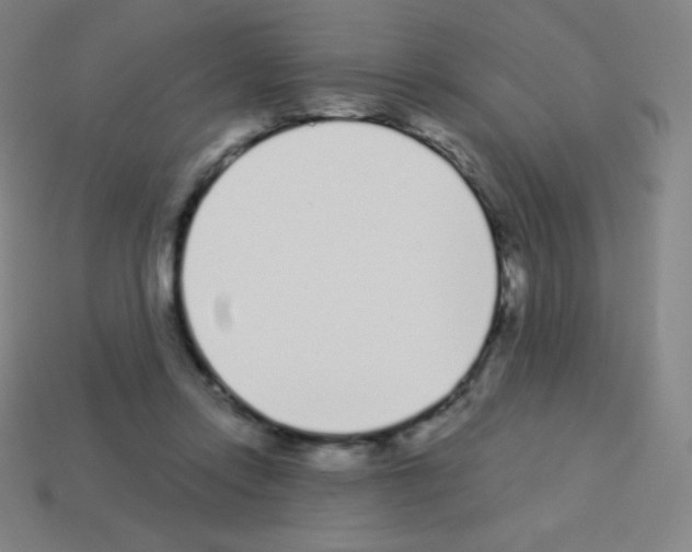 X0000113100358200910091144