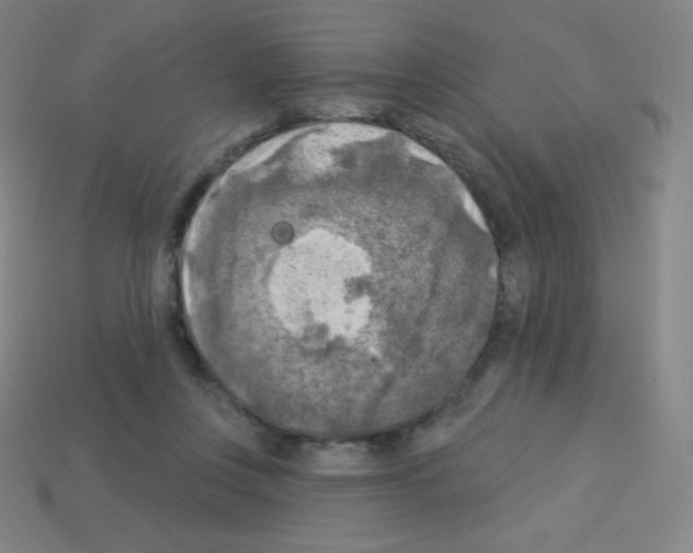 X0000113100359200910091144