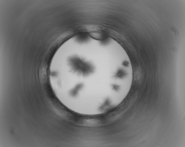 X0000113100360200910091144