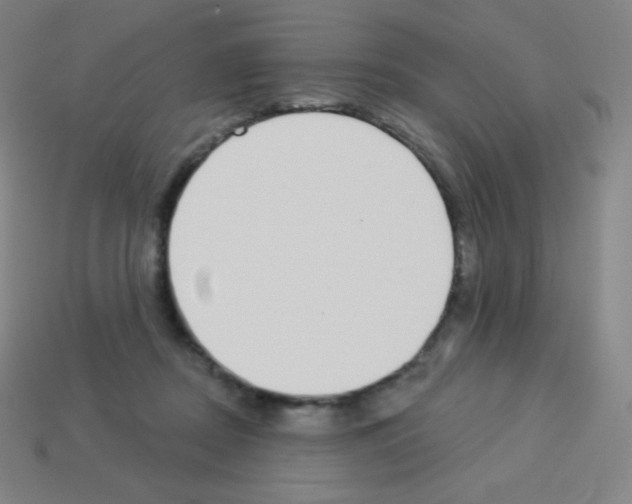 X0000113100362200910091144