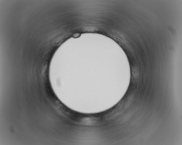 X0000113100364200910091144