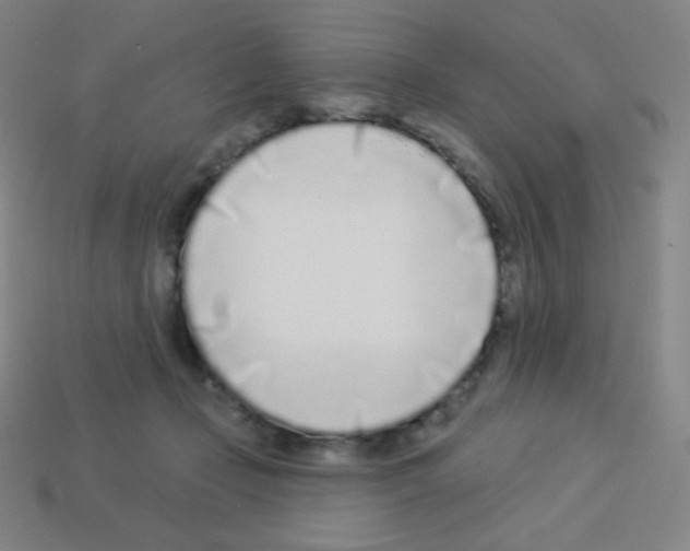 X0000113100365200910091144