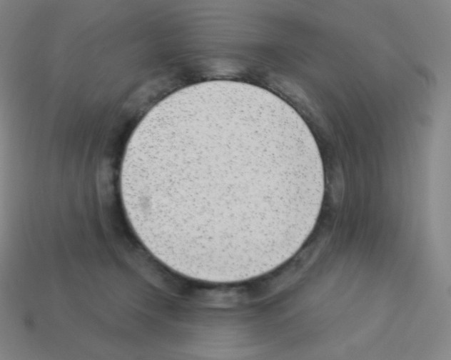 X0000113100366200910091144