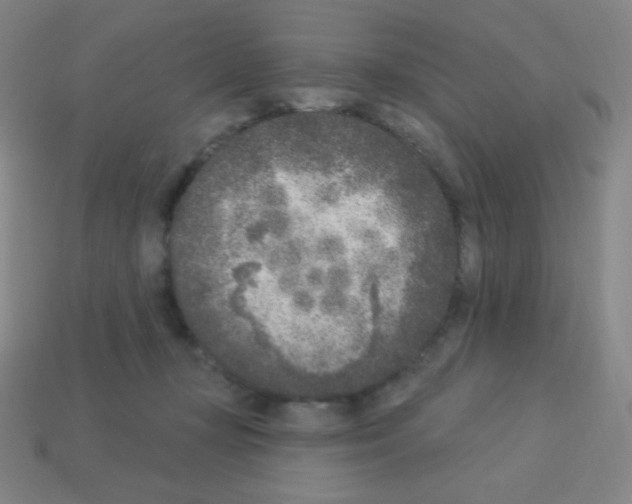 X0000113100367200910091144