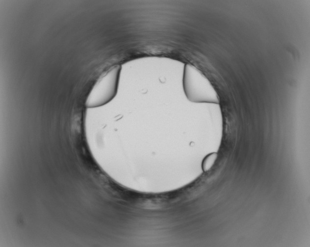 X0000113100368200910091144