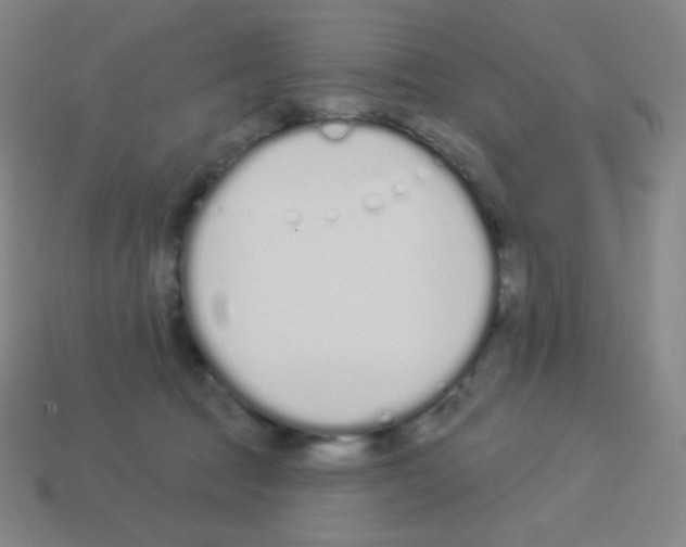 X0000113100369200910091144