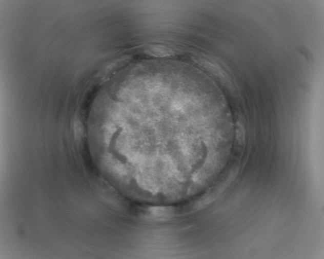 X0000113100371200910091144