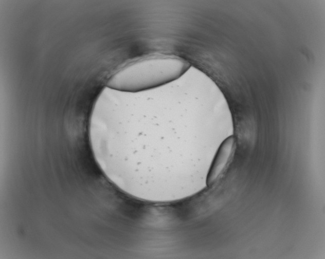 X0000113100372200910091144