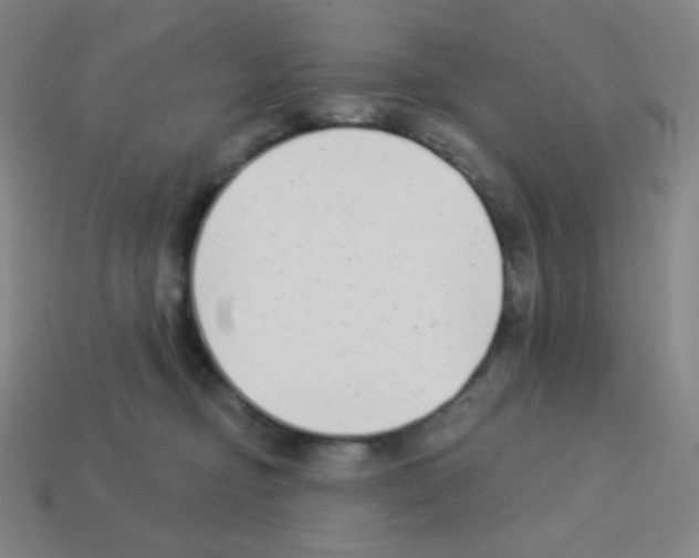 X0000113100374200910091144