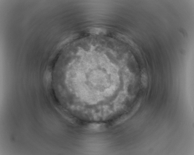 X0000113100375200910091144
