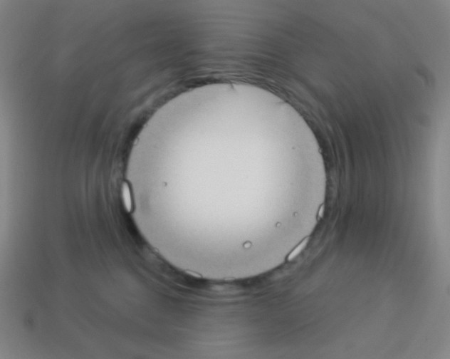 X0000113100376200910091144