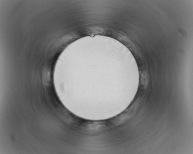 X0000113100378200910091144