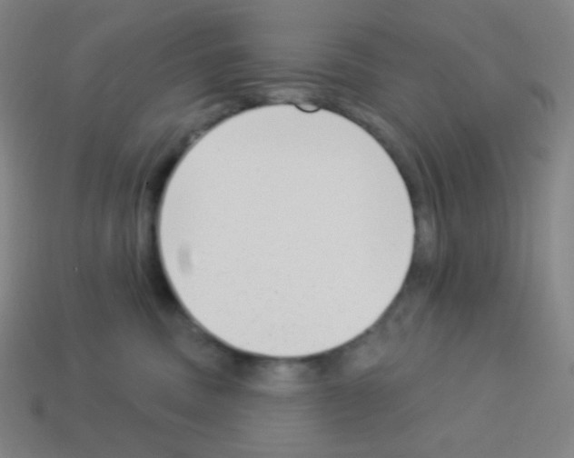 X0000113100379200910091144