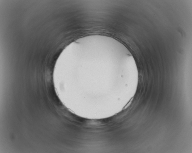 X0000113100380200910091144