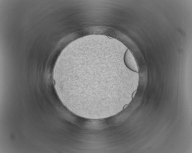 X0000113100381200910091144