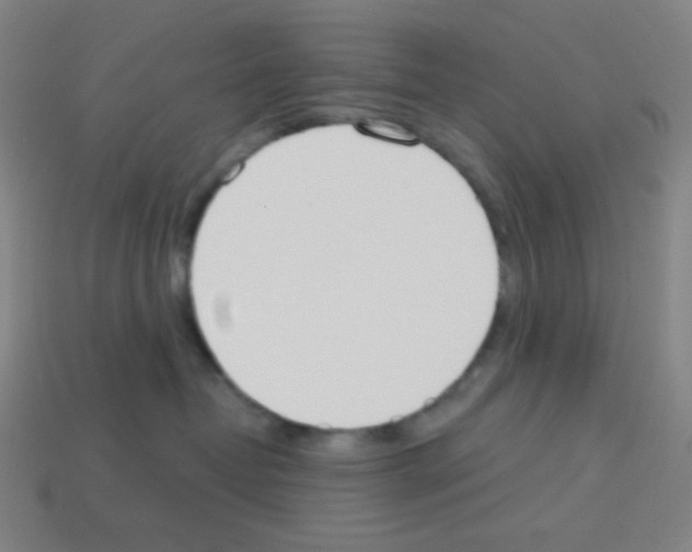 X0000113100382200910091144