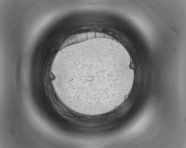 X0000113100383200910091144