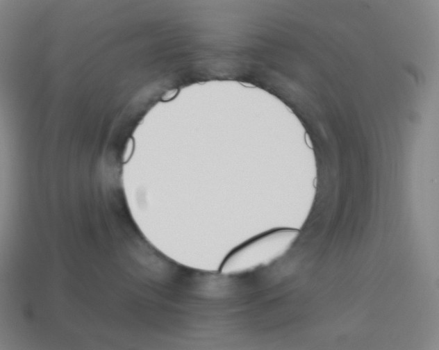X0000113100384200910091144