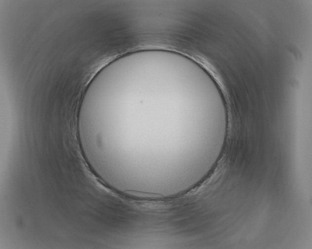 X0000113100385200910091143