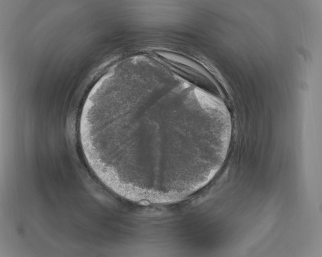 X0000113100386200910091143