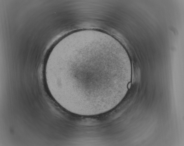 X0000113100387200910091143