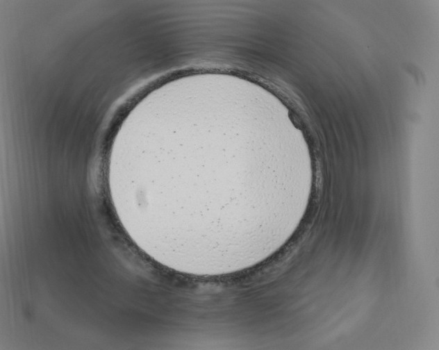 X0000113100388200910091143