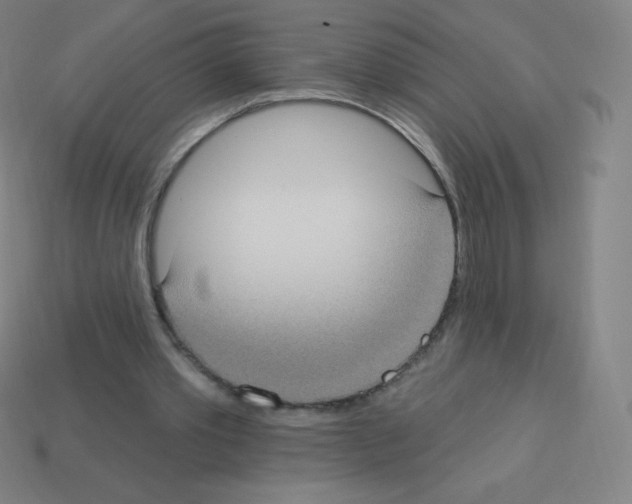 X0000113100389200910091143