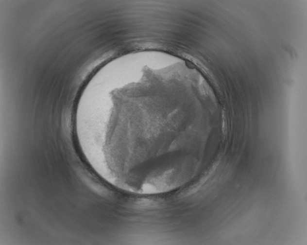 X0000113100390200910091143