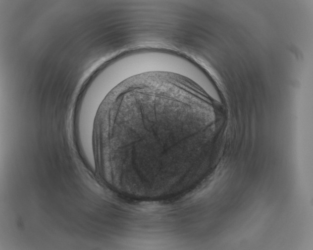 X0000113100391200910091143