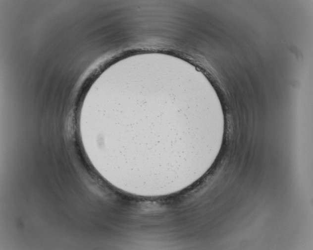 X0000113100392200910091143