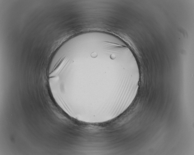 X0000113100393200910091143
