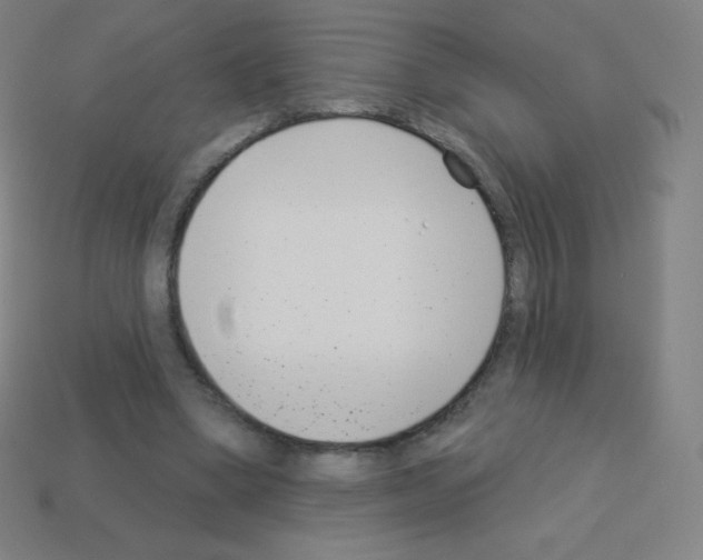 X0000113100394200910091143
