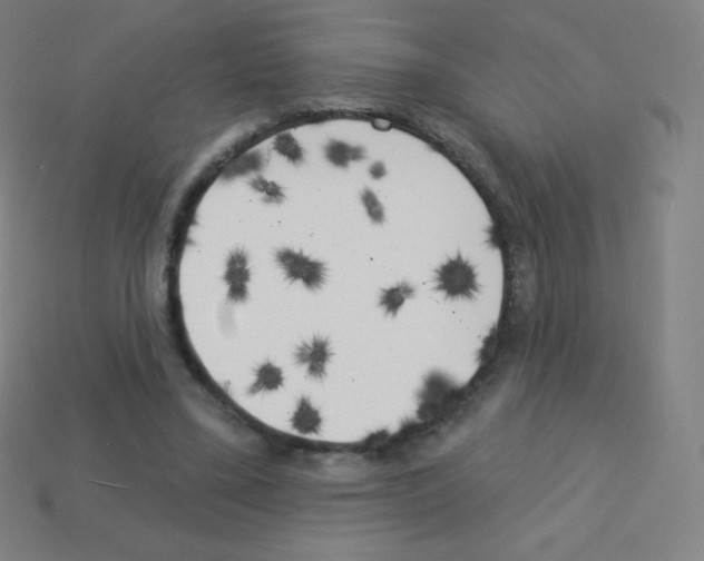 X0000113100395200910091143