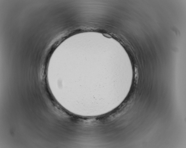 X0000113100396200910091143
