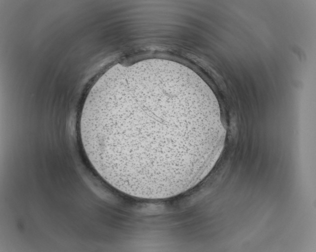X0000113100398200910091143