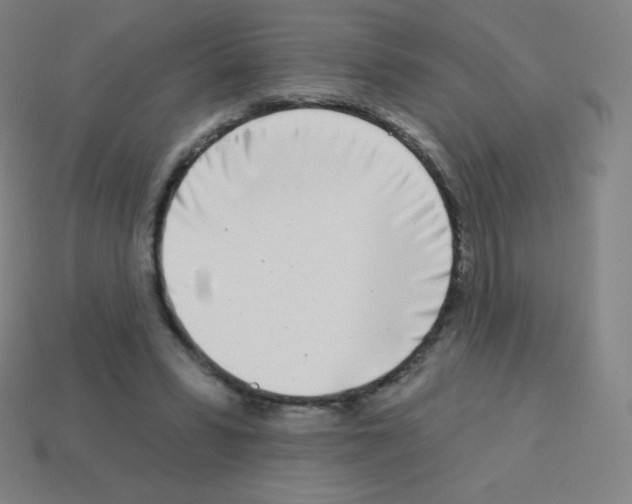 X0000113100399200910091143