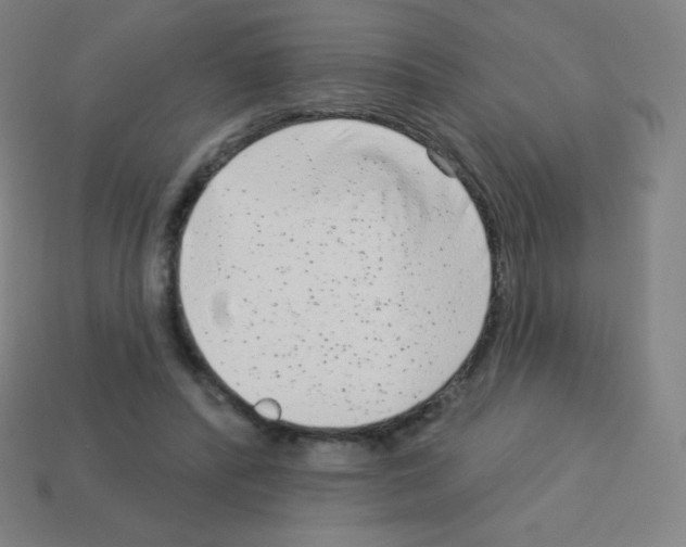 X0000113100400200910091143