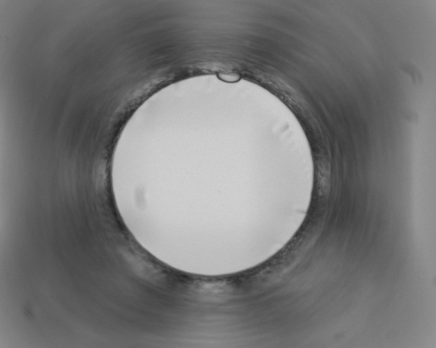 X0000113100401200910091143