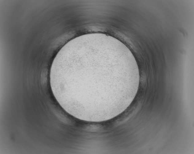 X0000113100402200910091143