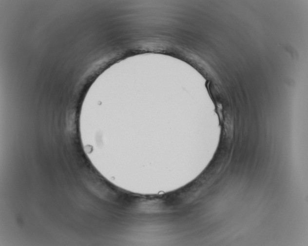 X0000113100403200910091143